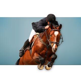 Equine Arthroscopy Instruments Catalogue