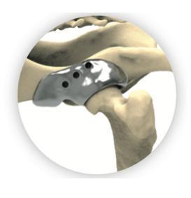 🐾 3D HIP Workshop 